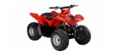 2010 Kymco Mongoose 90 photo